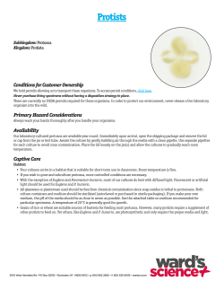 Protists - Sargent Welch