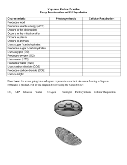 Keystone Review Practice