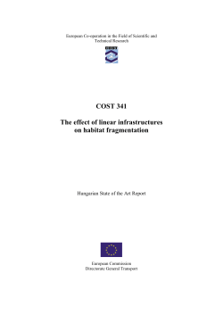 The effect of linear infrastructures on habitat fragmentation