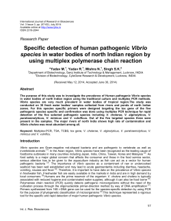 Specific detection of human pathogenic Vibrio species in water