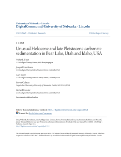 Unusual Holocene and late Pleistocene carbonate sedimentation in