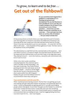 Get out of the fishbowl!