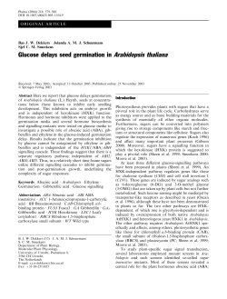 Glucose delays seed germination in Arabidopsis thaliana