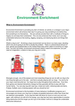 Environment Enrichment - Paws And Think Dog Training