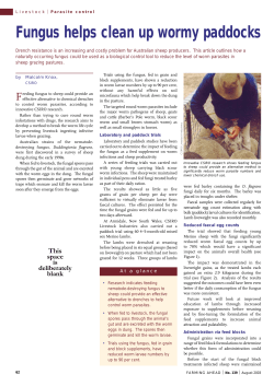 Fungus helps clean up wormy paddocks
