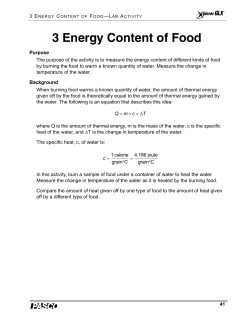 Food Energy LA