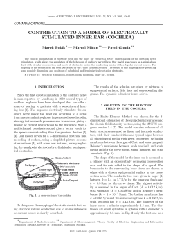 CONTRIBUTION TO A MODEL OF ELECTRICALLY STIMULATED