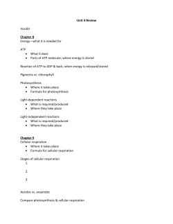 Unit 4 Review Vocab! Chapter 8 Energy&mdash;what it is needed for ATP