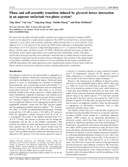 Phase and self-assembly transition induced by glycerol&ndash;borax