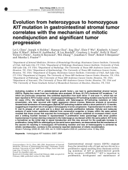 Evolution from heterozygous to homozygous KIT mutation