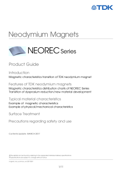 magnet neo summary en