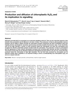 Production and diffusion of chloroplastic H2O2