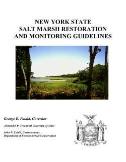 New York State Salt Marsh Restoration and Monitoring Guidelines
