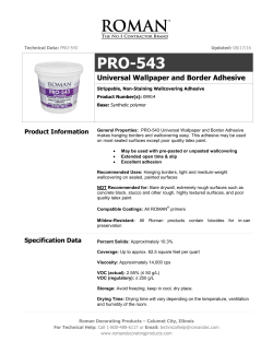Technical Data Sheet - Roman Decorating Products