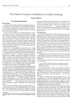 The Desert Tortoise in Relation to Cattle Grazing