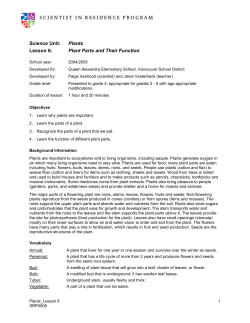 Plants Lesson 6 - Scientist in Residence Program