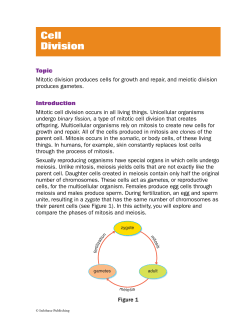 Cell Division