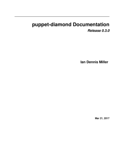 puppet-diamond Documentation
