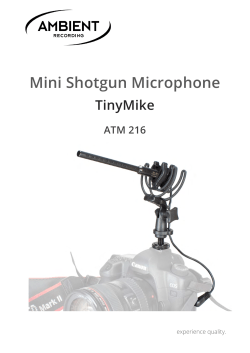 Mini Shotgun Microphone