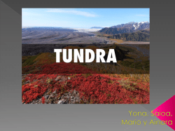 Untitled - CP San Juan de la Cadena