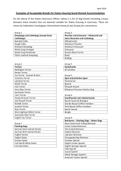 Permitted dog breeds