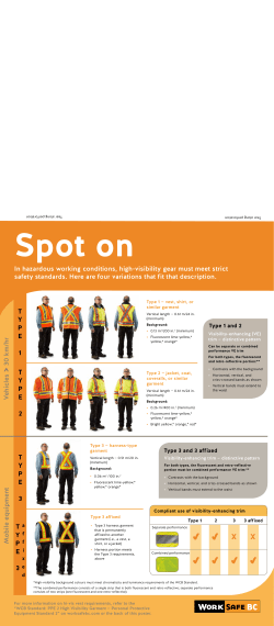 2-page poster - Cone Zone BC