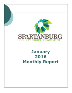 January 2017 Monthly Performance Report