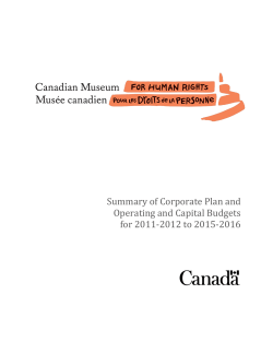 Summary of Corporate Plan and Operating and Capital Budgets for