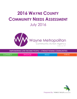 2016 Wayne County Community Needs Assessment