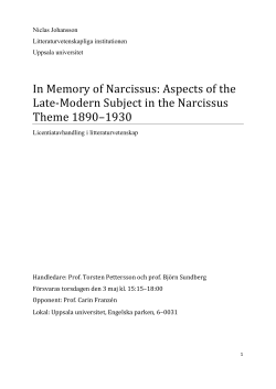 In Memory of Narcissus