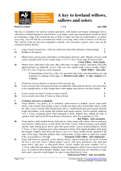 A key to lowland willows, sallows and osiers