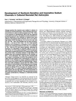 Development of Saxitoxin-Sensitive and Insensitive Sodium