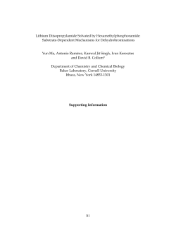 Supporting Information