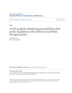 A GIS model for identifying potential black