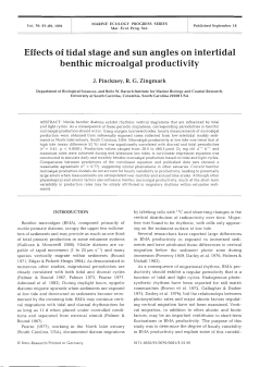 Effects of tidal stage and