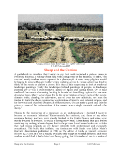 Sheep and the Camino - americanpilgrims.com