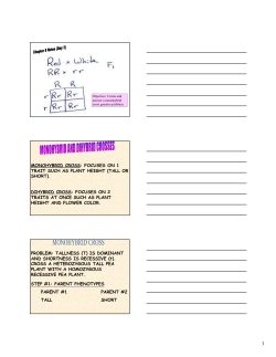 MONOHYBRID CROSS: FOCUSES ON 1 TRAIT SUCH AS PLANT