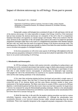 Impact of electron microscopy in cell biology: From past to present