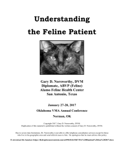 Diabetes Mellitus - Colorado Veterinary Medical Association