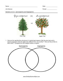 Gymnosperms vs. Angiosperms