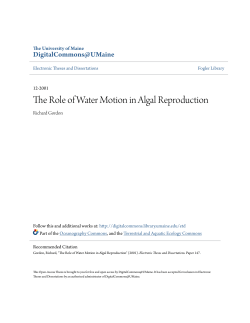 The Role of Water Motion in Algal Reproduction