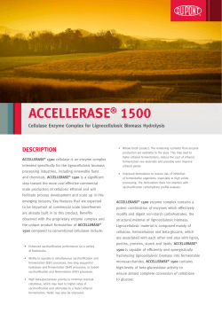 accellerase&reg; 1500