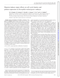 Hypoxia induces major effects on cell cycle kinetics and protein