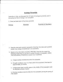 Ecological Pyramids Worksheet