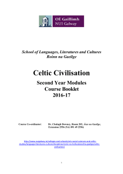 Celtic Civilisation