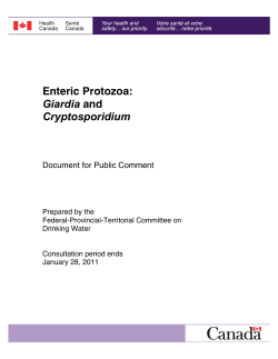 Enteric Protozoa: Giardia and Cryptosporidium