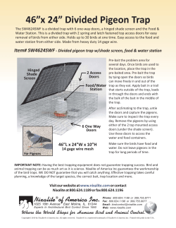 46&rdquo;x 24&rdquo; Divided Pigeon Trap