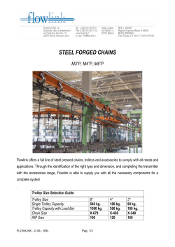 steel forged chains - Flowlink