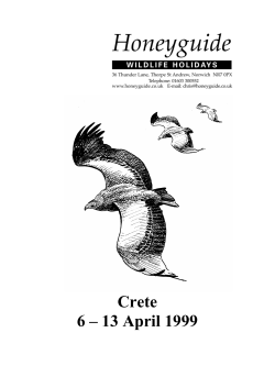 Crete - Honeyguide wildlife holidays