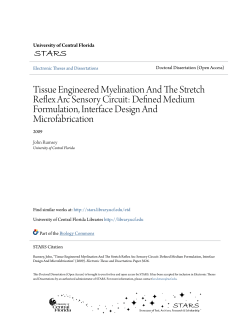 Tissue Engineered Myelination And The Stretch Reflex Arc Sensory